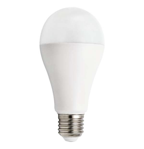22w Bulb by Steel Lighting Co.