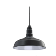 Carson Classic Dome Pendant Light | Custom Color Industrial Steel