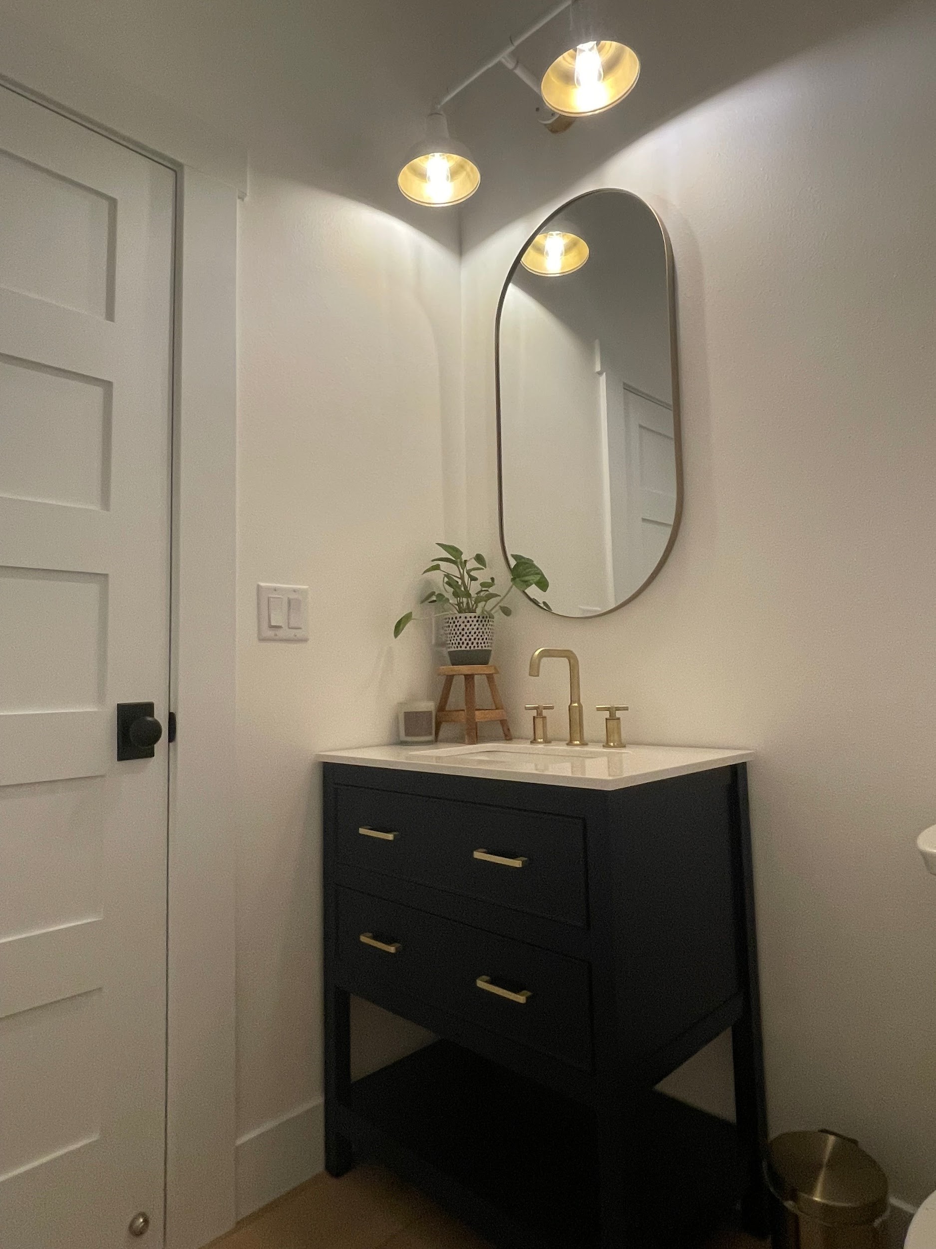 The Lawndale LED Vanity Light 