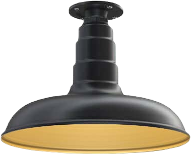 Malibu Color Matte Black Interior Color Brass with a Flush Mount