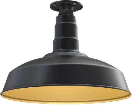 Carson Color Matte Black Interior Color Brass with a Flush Mount