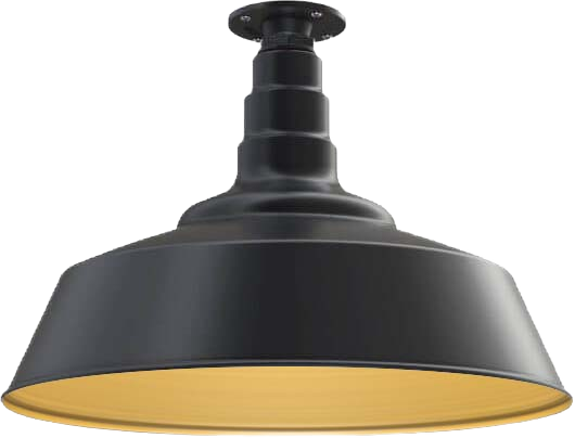 Manhattan Color Matte Black Interior Color Brass with a Flush Mount