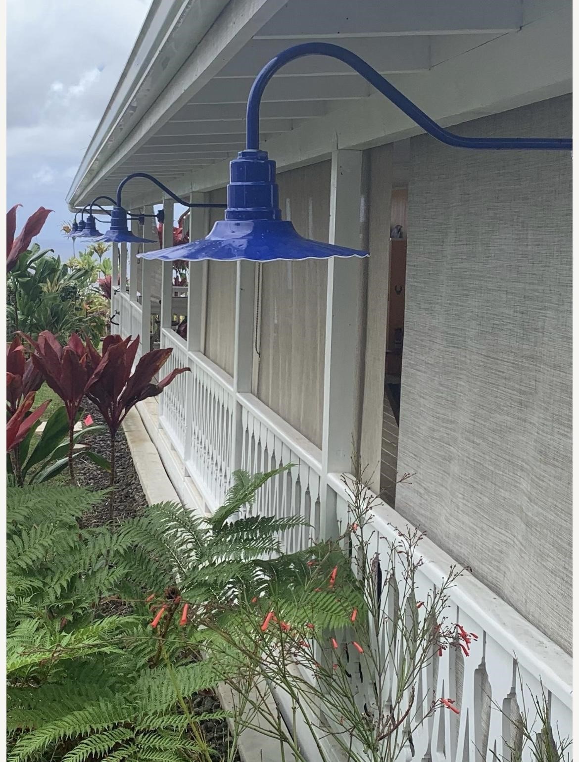 The Blue Highland Park Outdoor House Light